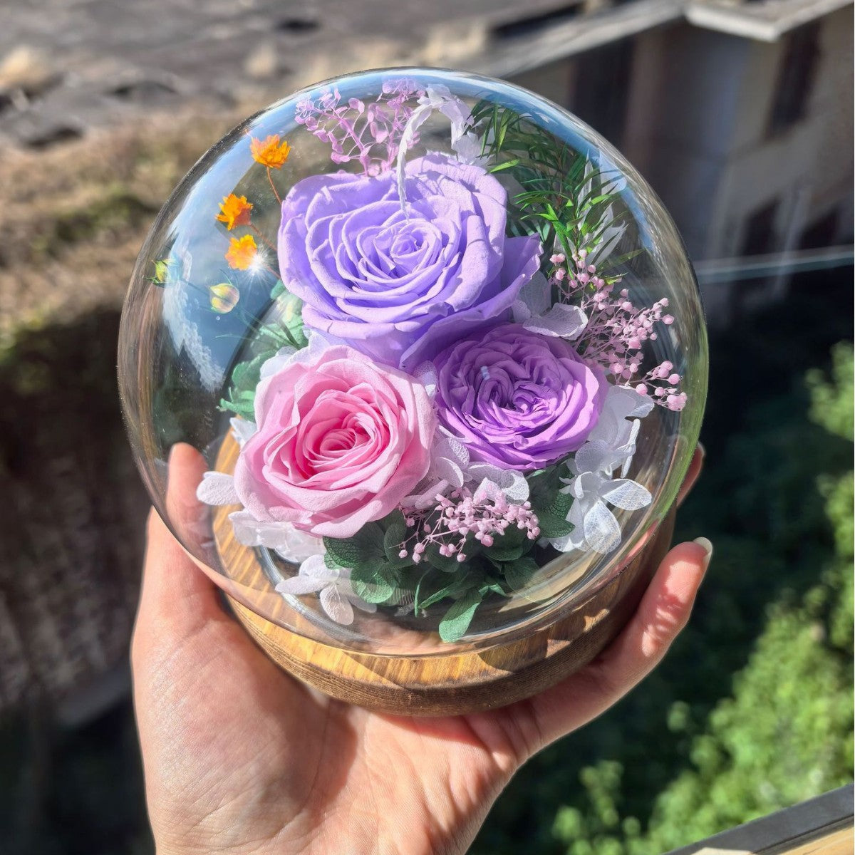 Preserved rose in a glass dome crystal ball